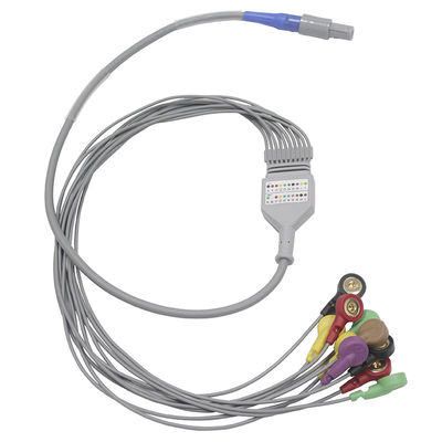 Βιοϊατρικά όργανα 10 καλώδιο και Leadwires Holter ECG μολύβδων